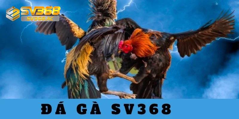 da-ga-sv368