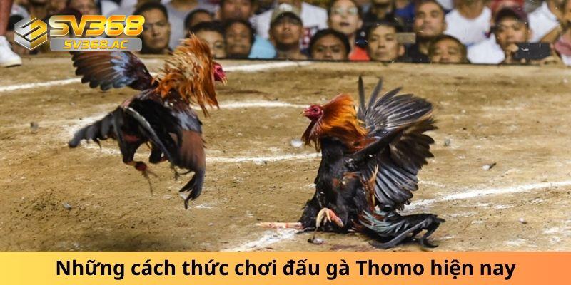 da-ga-thomo-cach-thuc